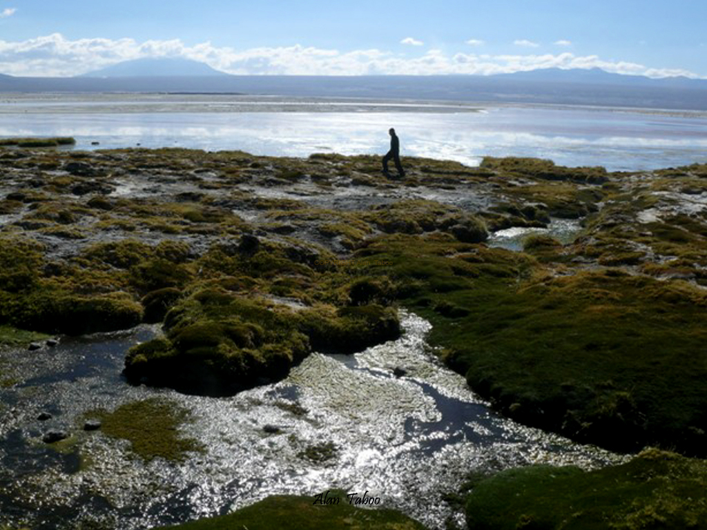 bolivie
