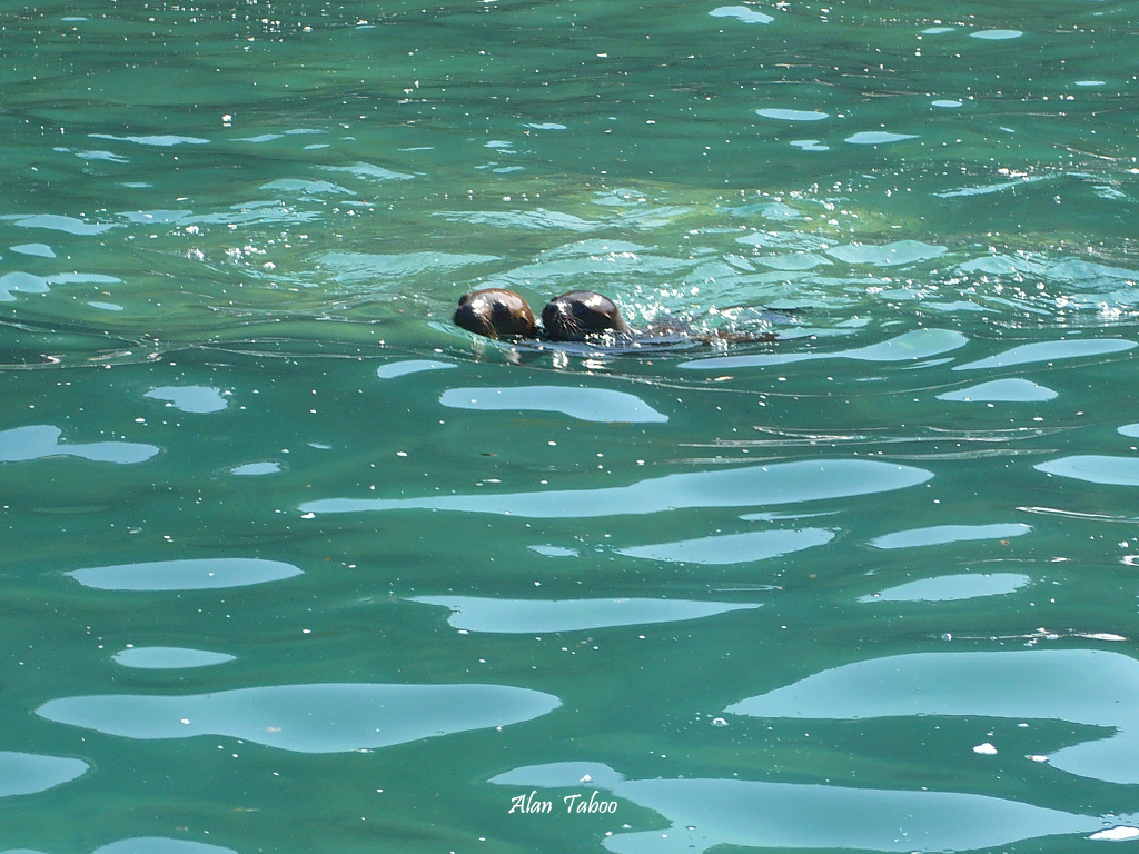 iles ballestas