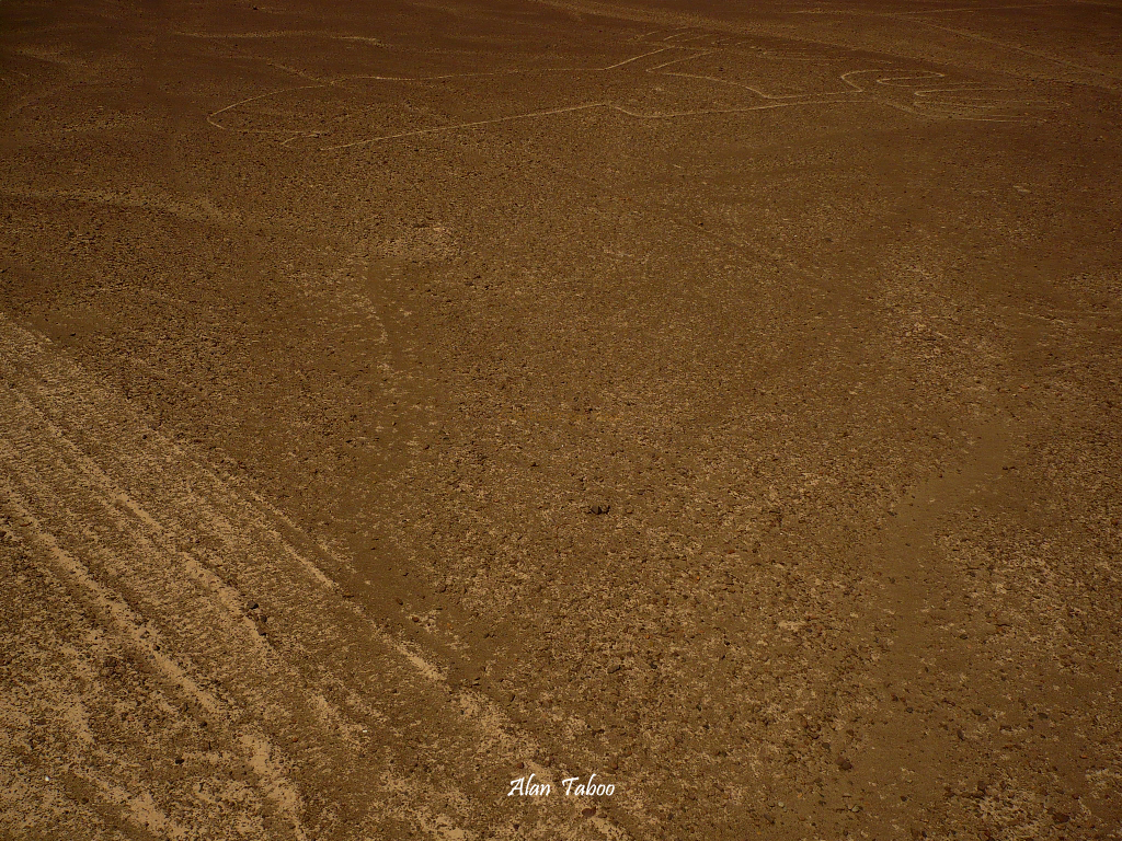 nasca