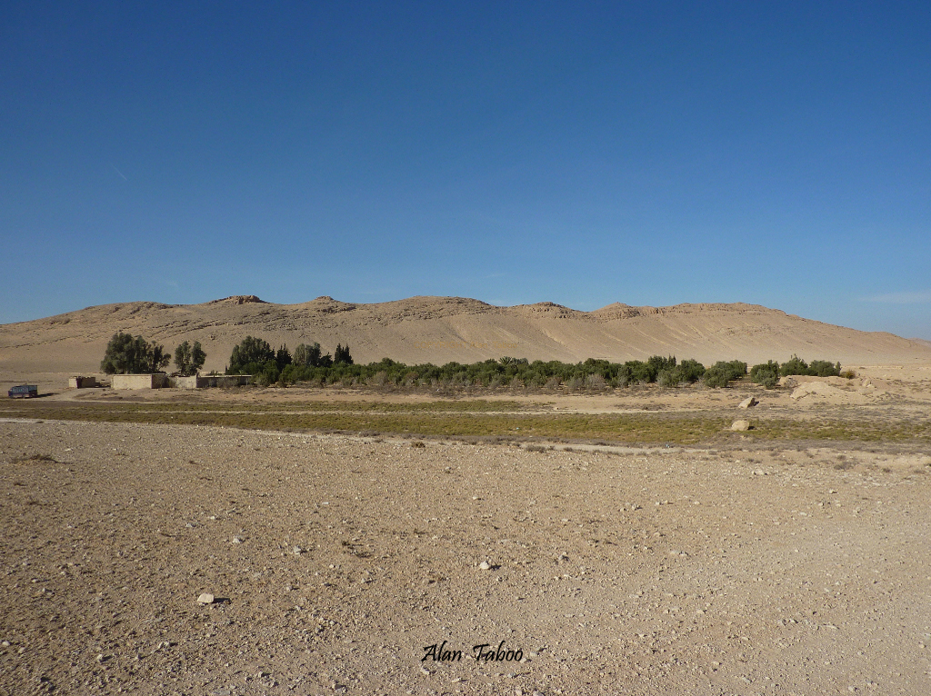 syrie palmyra