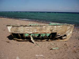 dahab.