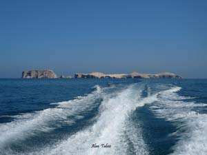 iles ballestas.