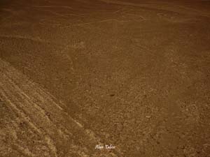 nasca