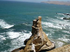 paracas.