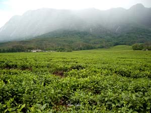 sri lanka