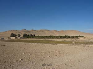 syrie palmyra