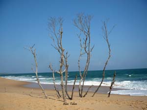tangalle